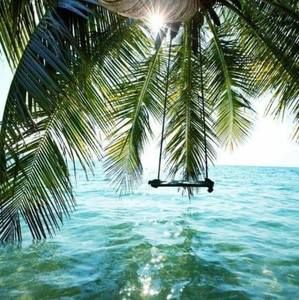 Meet your Posher, Vile